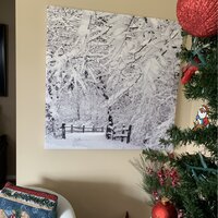 canvas print fr winter wonderland ipi studio